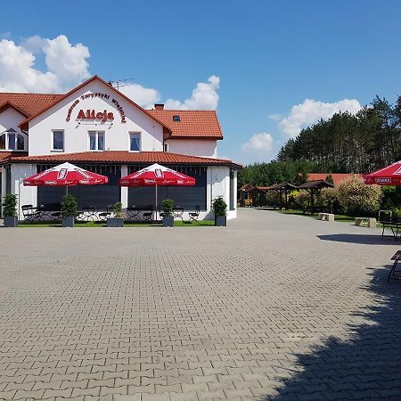 Centrum Turystyki Wiejskiej Alicja Ksiezpol Экстерьер фото