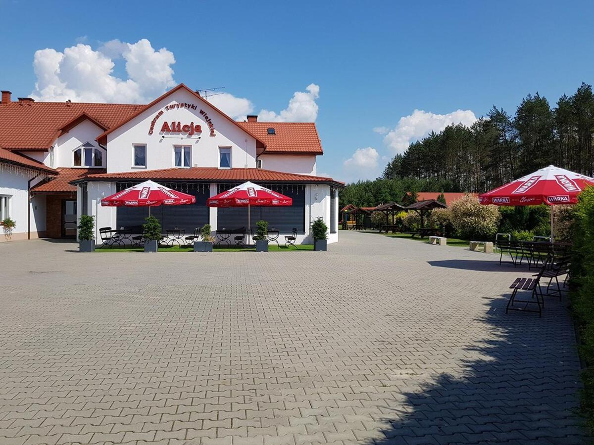 Centrum Turystyki Wiejskiej Alicja Ksiezpol Экстерьер фото
